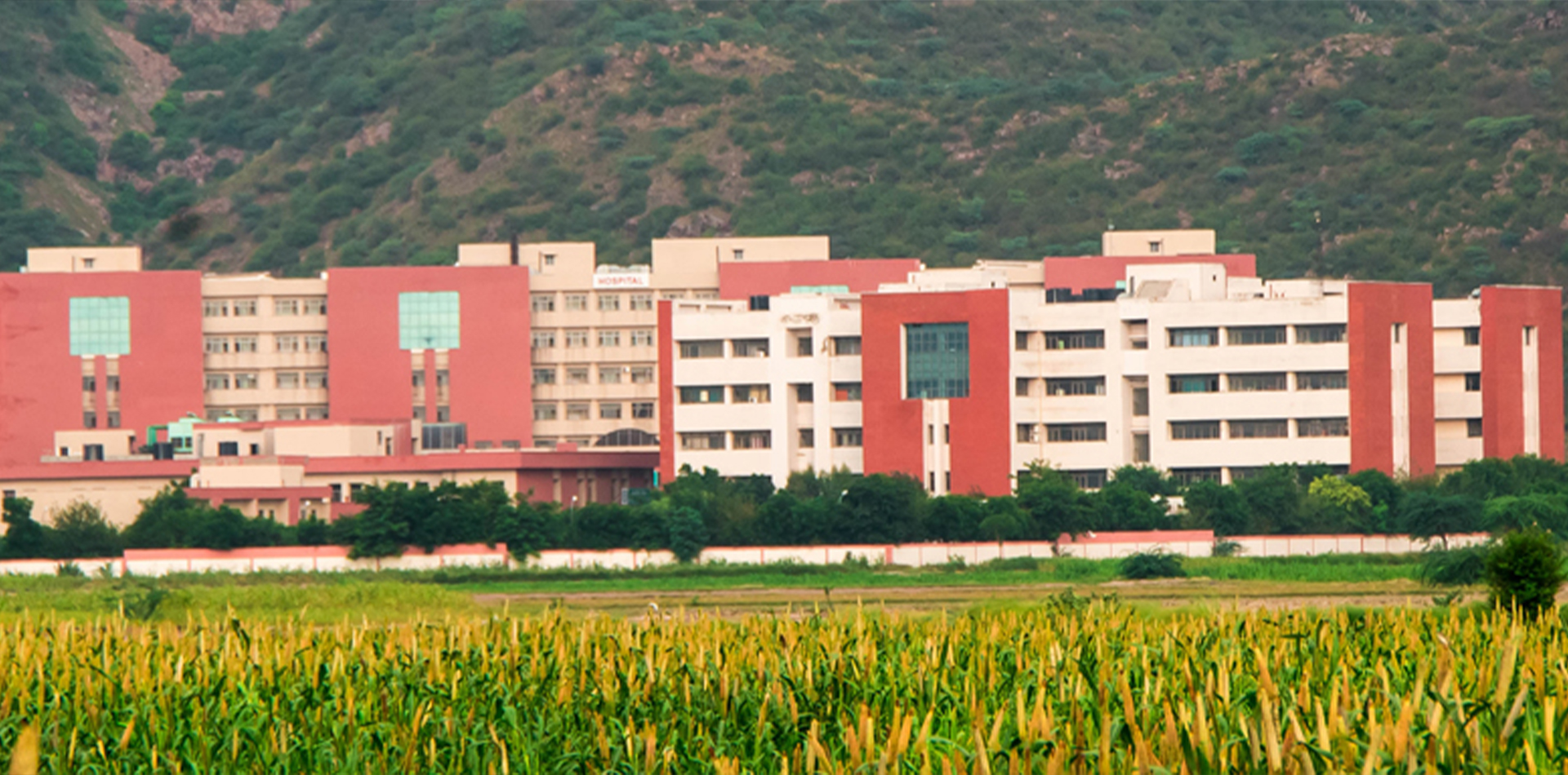 Shaheed Hasan Khan Mewati Government Medical College, Nalhar